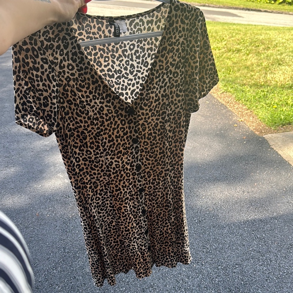 Divided Leopard Print V-Neck Dress